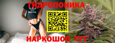 гидропоника Мариинск