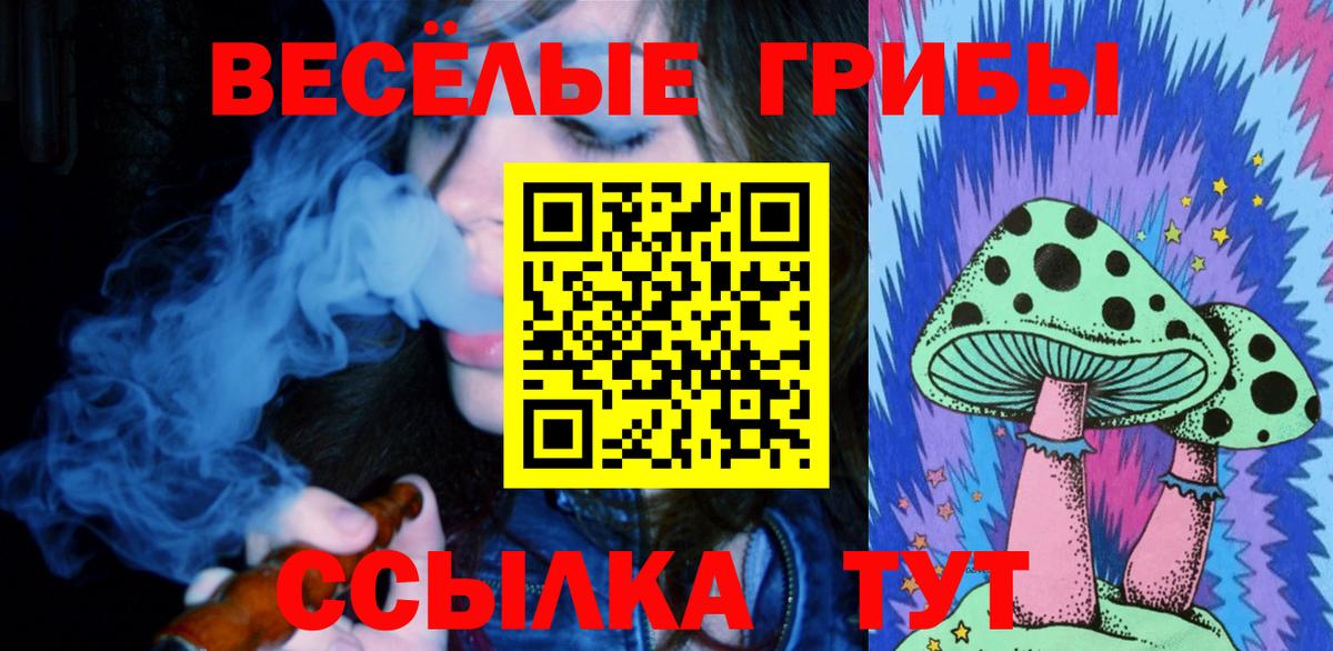 Псилоцибиновые грибы мухоморы Бузулук