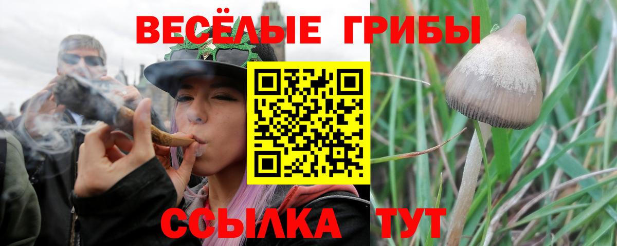 наркота  Псилоцибиновые грибы MAGIC MUSHROOMS  Вход с VPN  Бузулук 